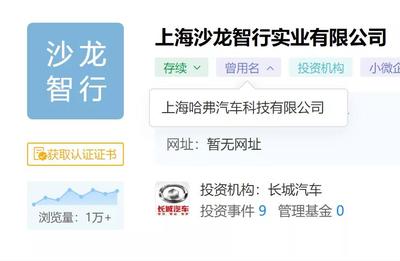 汽车大观|再推新能源高端品牌,长城汽车胜算几何?
